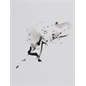 thumbnail 73x55cm