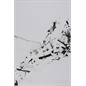 thumbnail 55x36cm
